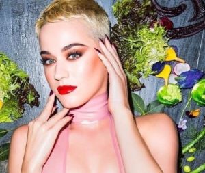 Katy Perry letras