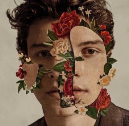 Shawn Mendes letras