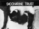 Saccharine Trust – Paganicons (1981)