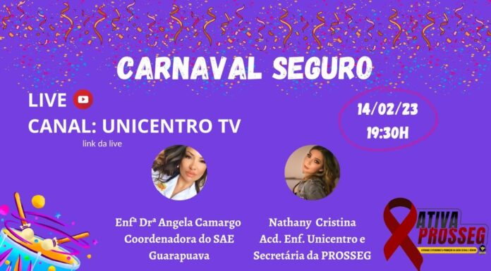 Carnaval Seguro