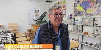 Fósseis em Irati: Material coletado amplia acervo científico da Unicentro
